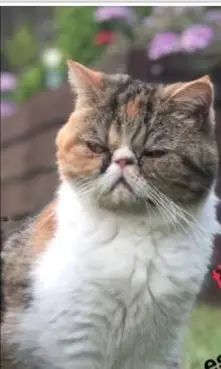 gata lost     Karma