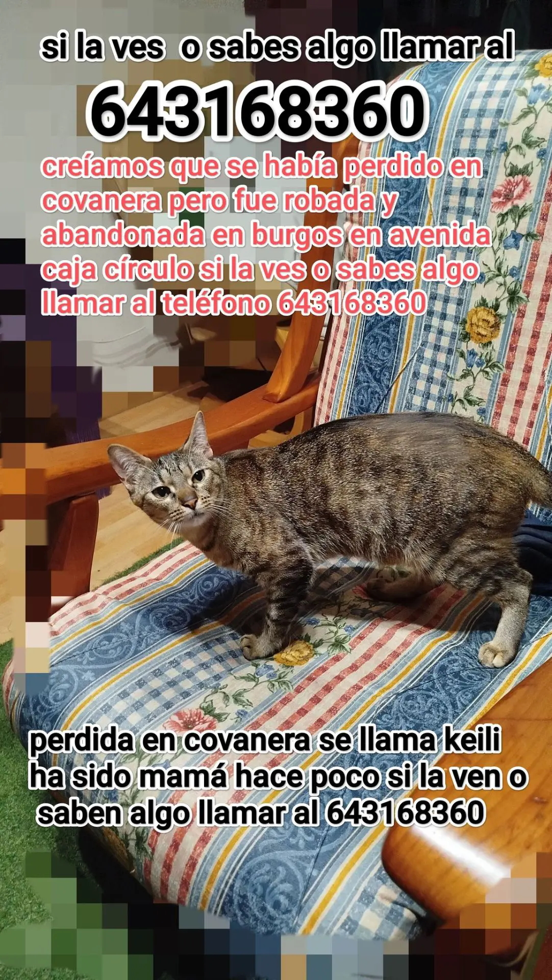 gata lost    Astorga Keili