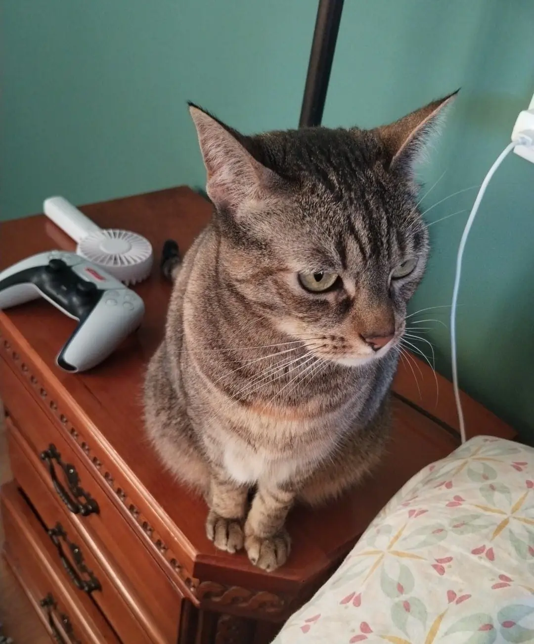 gata reunited     Nora