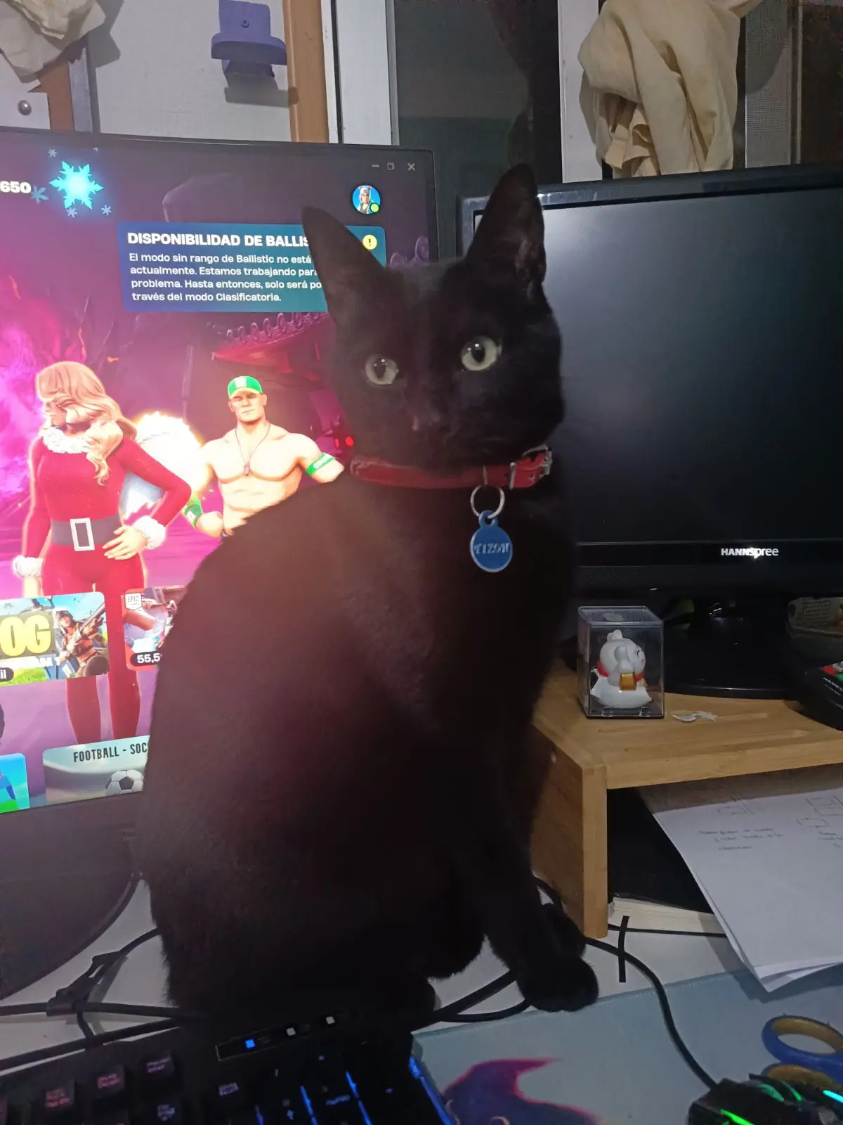gato lost     Tizon