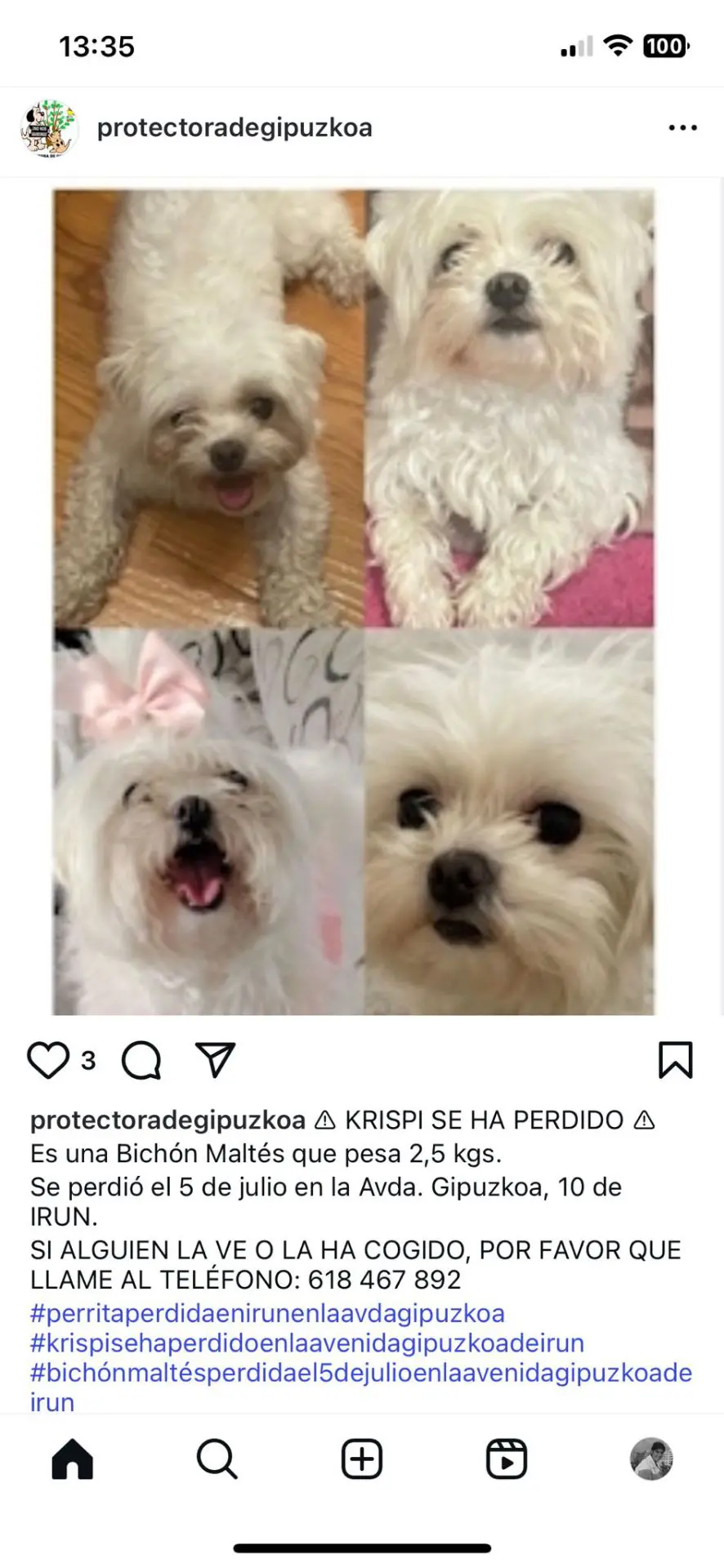 perra lost    Irun Krispi