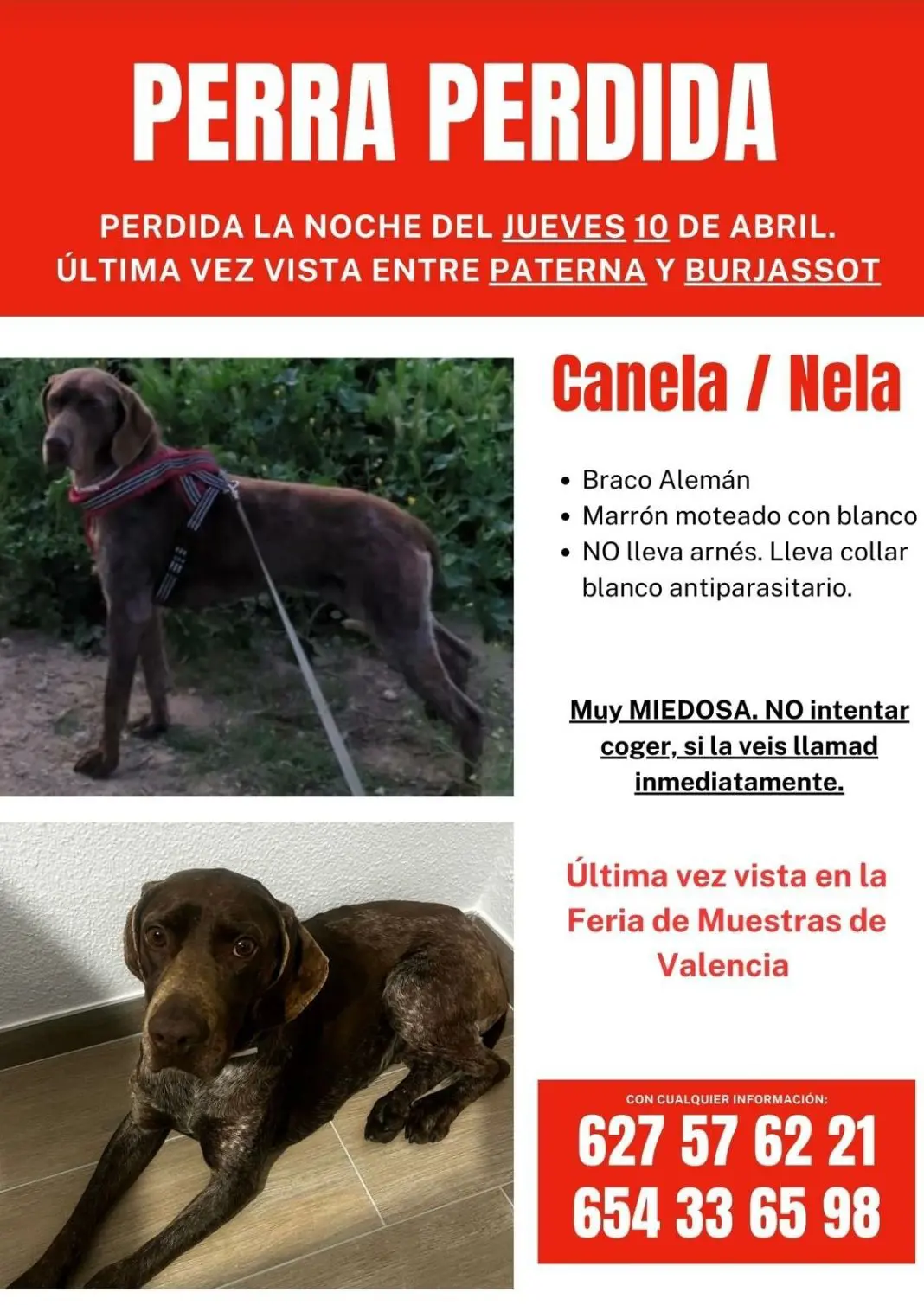 perra lost    Valence Nela