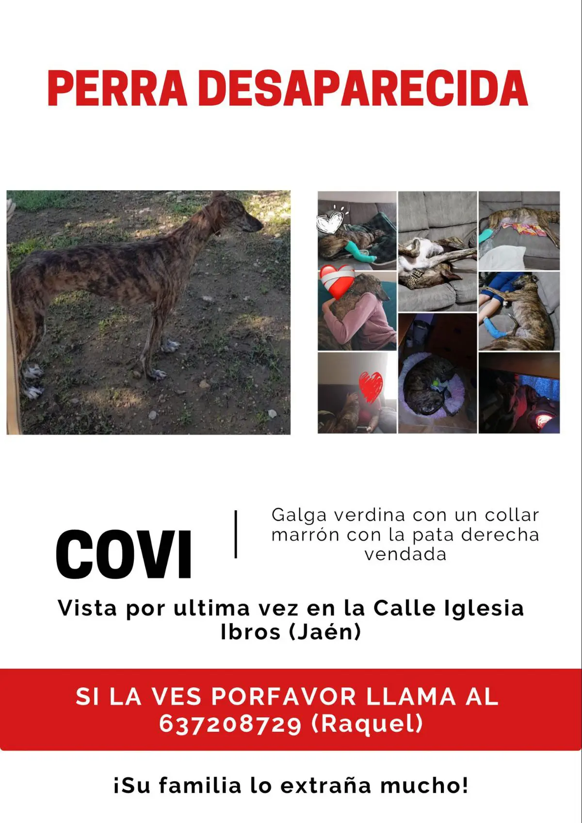 perra reunited   23450 Ibros Covi