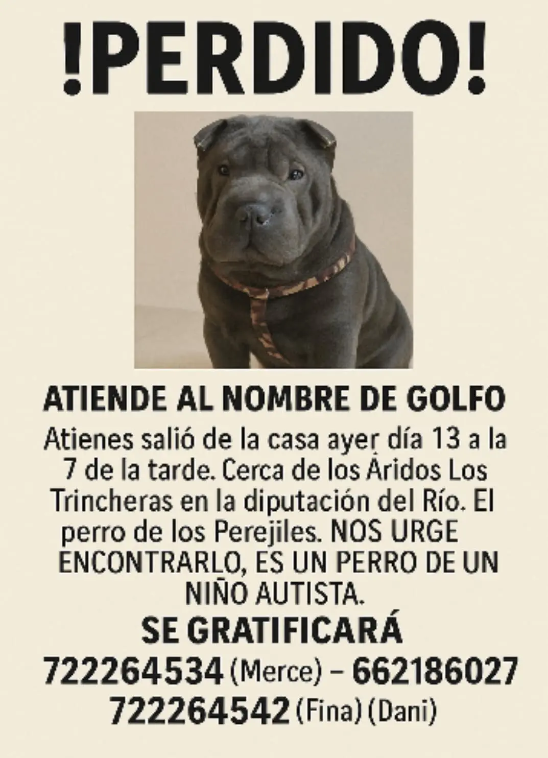 perro reunited    Lorca Golfo